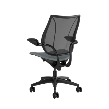 Liberty Task Chair, Monofilament Stripe Black Backrest, Corde 4 Medium Gray Seat Picture 3