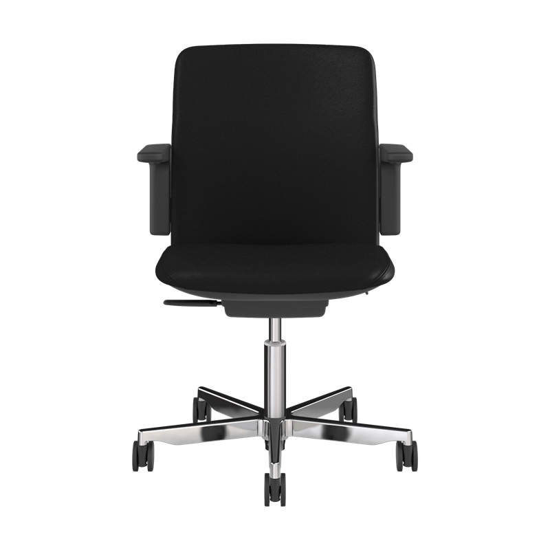 Path, Ticino - Obsidian Picture 2