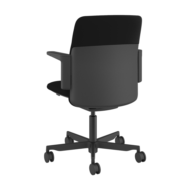 Path, Lotus - Black Picture 3