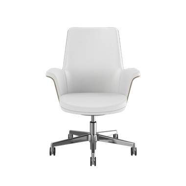 Summa Chair with Anegre Wood Back and Frost - Maribo (Chrome-Free Leather) Picture 2