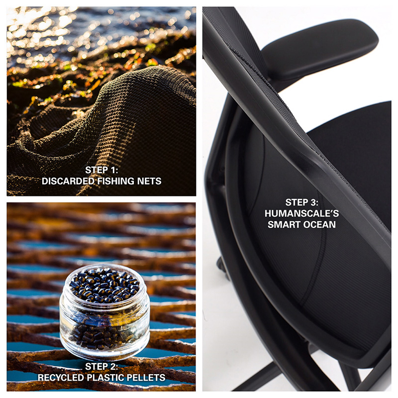 From Ocean to Office