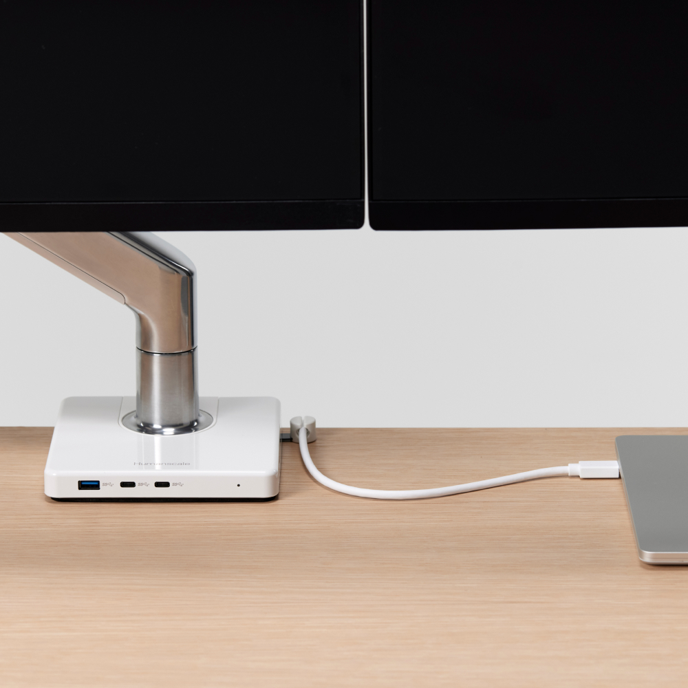 Single Monitor (M2.1)