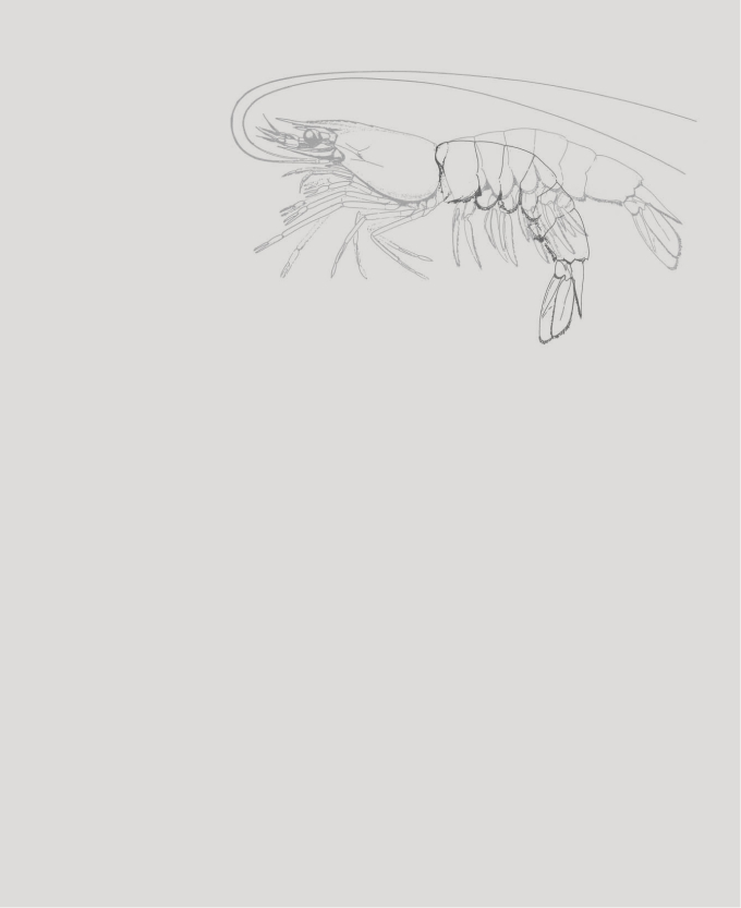 sketch of Freedom Task chair