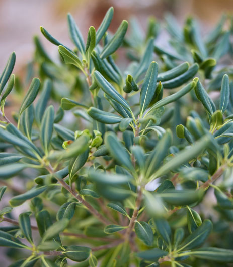 Humanscale textile spread