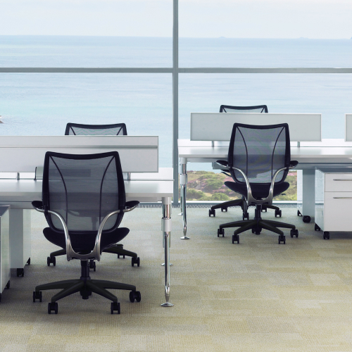 Ocean Collection Thumbnail